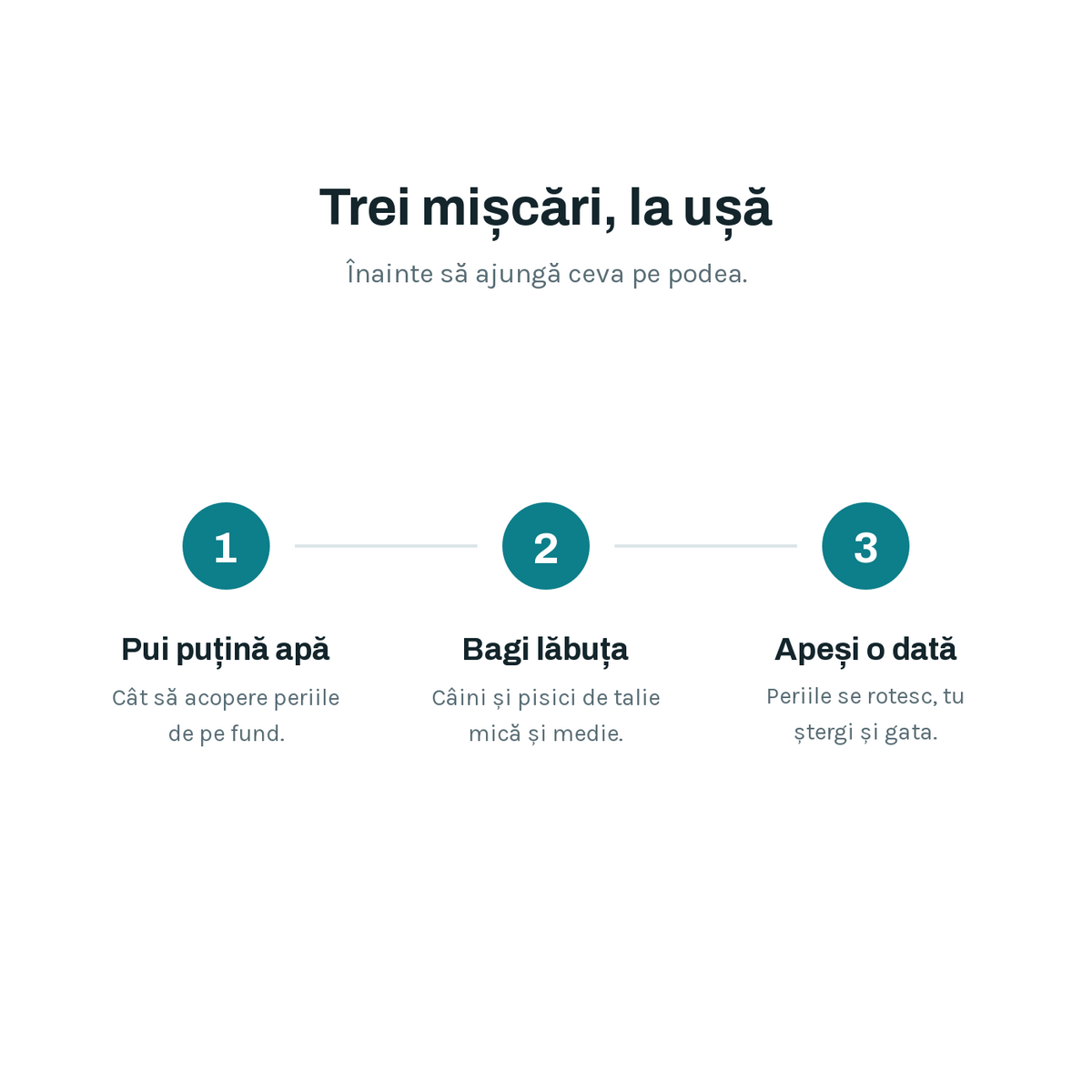 Cum funcționează, în trei pași
