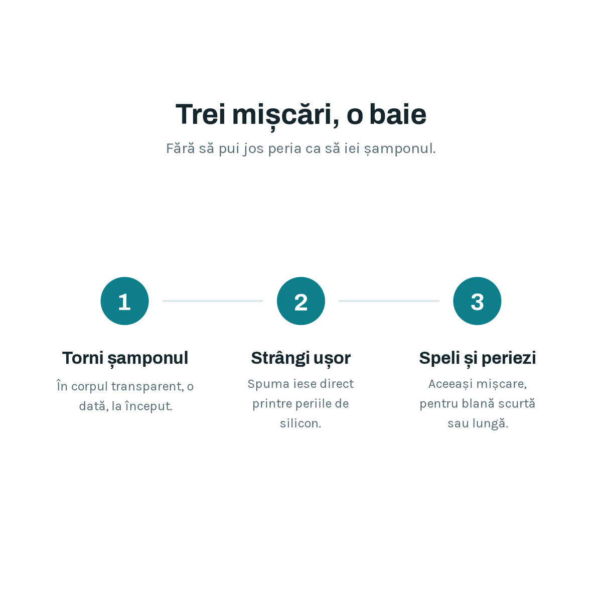 Cum funcționează, în trei pași